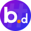 BNSD Finance (bnsd)