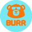 Burr Governance Token