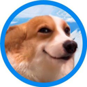 Cheeky Dawg Live Price, Chart and Marketcap