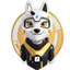 Doge Grok