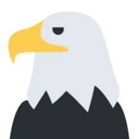 FREE Shayne Coplan (EAGLE) Live Price, Chart and Marketcap