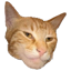 Giga Cat
