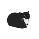 Maxwell the spinning cat Live Price, Chart and Marketcap