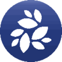 NKN Live Price, Chart and Marketcap