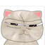 pipi the cat