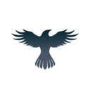 Raven Protocol Live Price, Chart and Marketcap