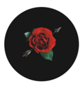 Rose Live Price, Chart and Marketcap