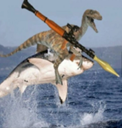 shark raptor rocket launcher (SRRL) Live Price, Chart and Marketcap
