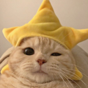 STAR CAT (SC) Live Price, Chart and Marketcap